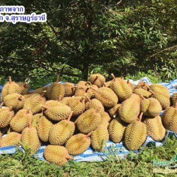 EP.297 หลากหลายคำถามเกี่ยวกับการขยายขนาดผล