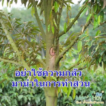 EP.307 อย่าใช้ความกลัวมานำในการทำสวน