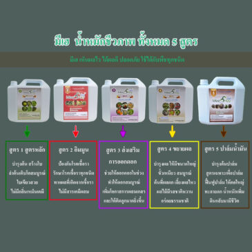 6 คำถาม รวมรวมมาเพื่อให้รู้จักมีเฮดีขึ้น