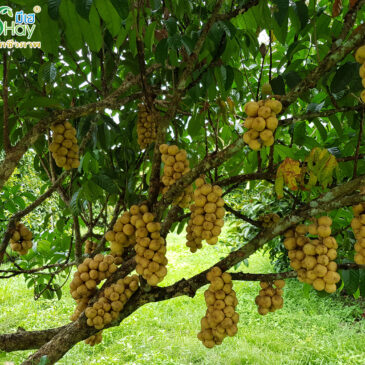 ทำลองกองปีหน้าให้ได้แบบนี้ ต้องเริ่มตั้งแต่ปีนี้