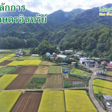 7 ความเชื่อที่เข้าใจผิด เกี่ยวกับการทำเกษตรอินทรีย์
