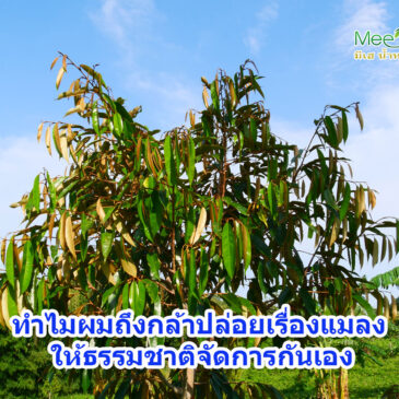 การทำสวนแบบอินทรีย์นั้น ไม่ใช่จะไม่จัดการแมลงเลย